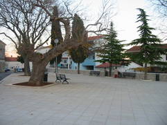 Placa