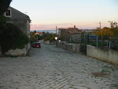 Šaliž